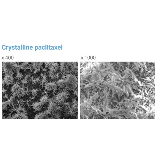 DCB Paclitaxel Coated PTCA Balloon Catheter