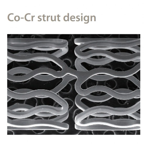 DES Sistema de stent coronario liberador de sirolimus