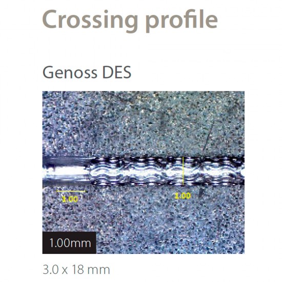 DES Sistema de stent coronario liberador de sirolimus