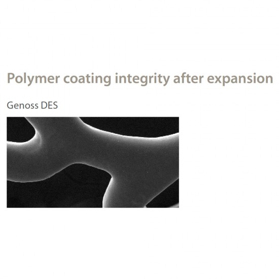 DES Sistema de stent coronario liberador de sirolimus