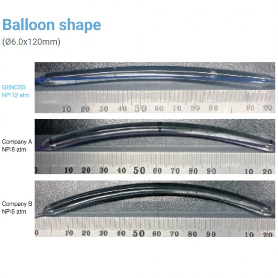 PTA Balloon Catheter OTW